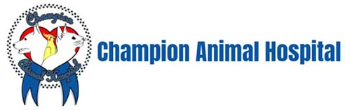 Champion Animal Hospital Logo